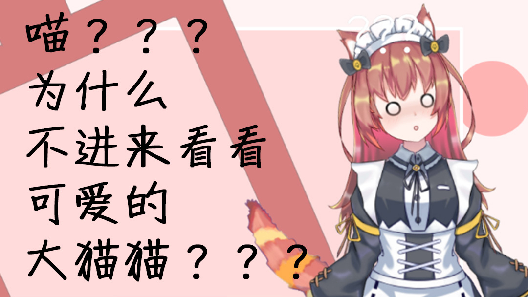 不来炖一锅猫么?