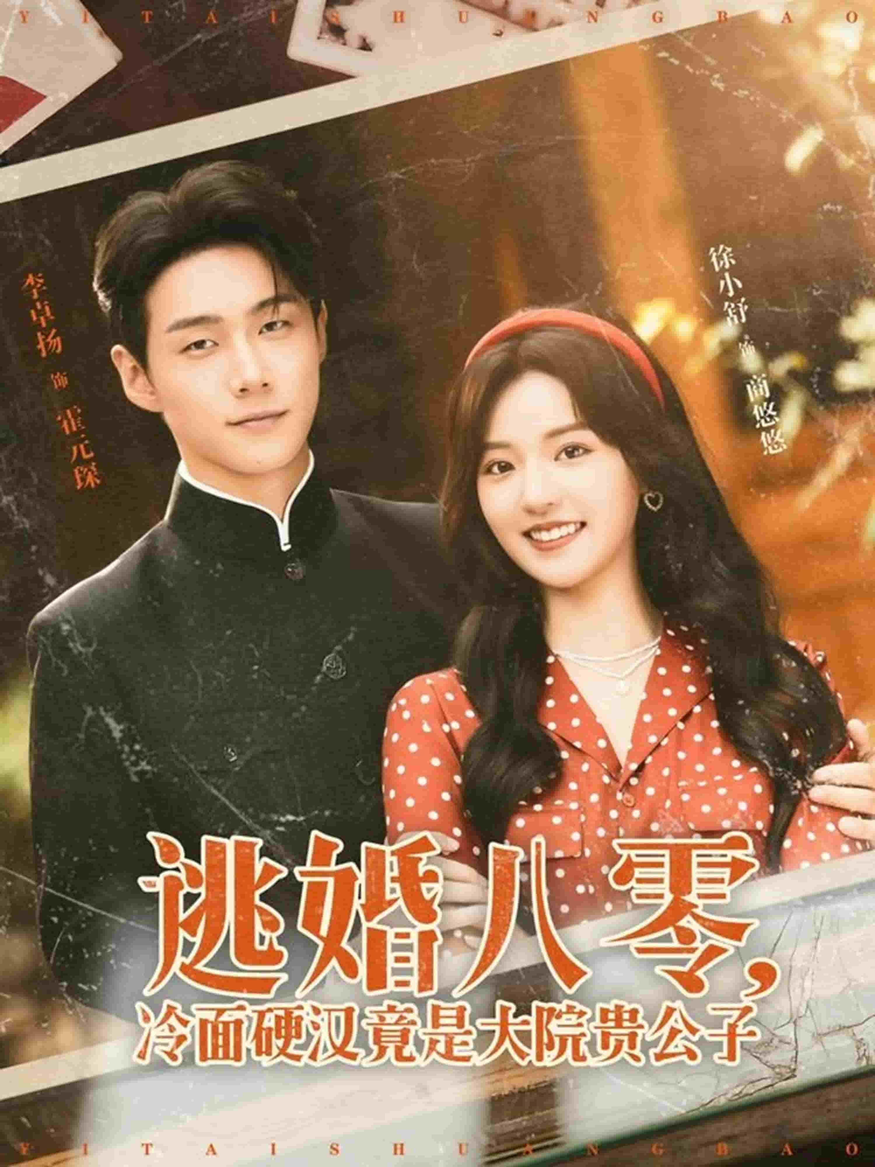 逃婚八零冷面硬汉竟是大院贵公子封面图