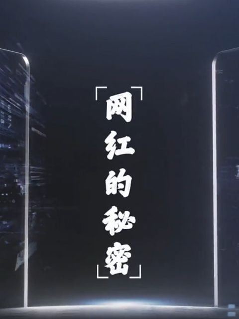 网红的秘密