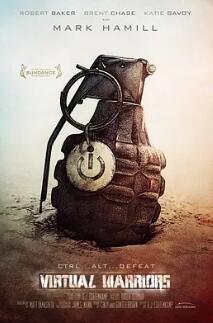 虚拟英雄封面图