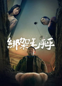 绑架毛乎乎封面图