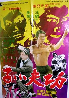 功夫小子封面图