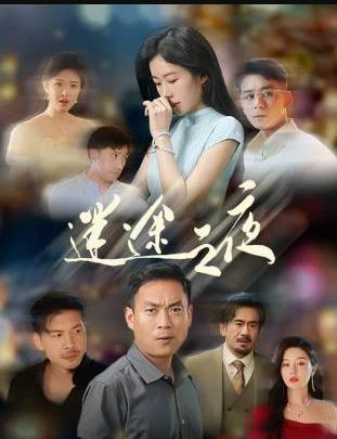 迷途之夜封面图