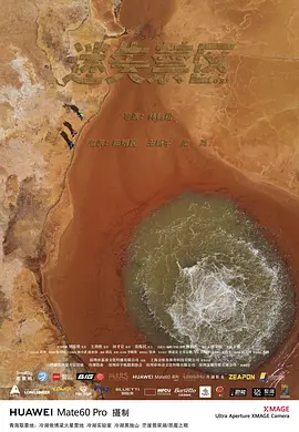 迷失禁区封面图