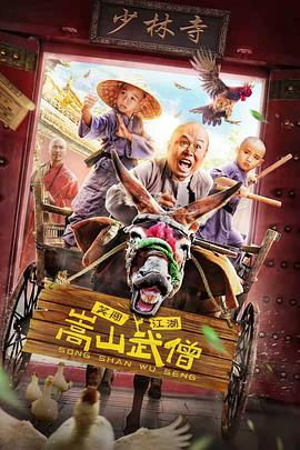 嵩山武僧封面图