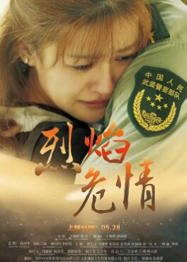 烈焰危情封面图