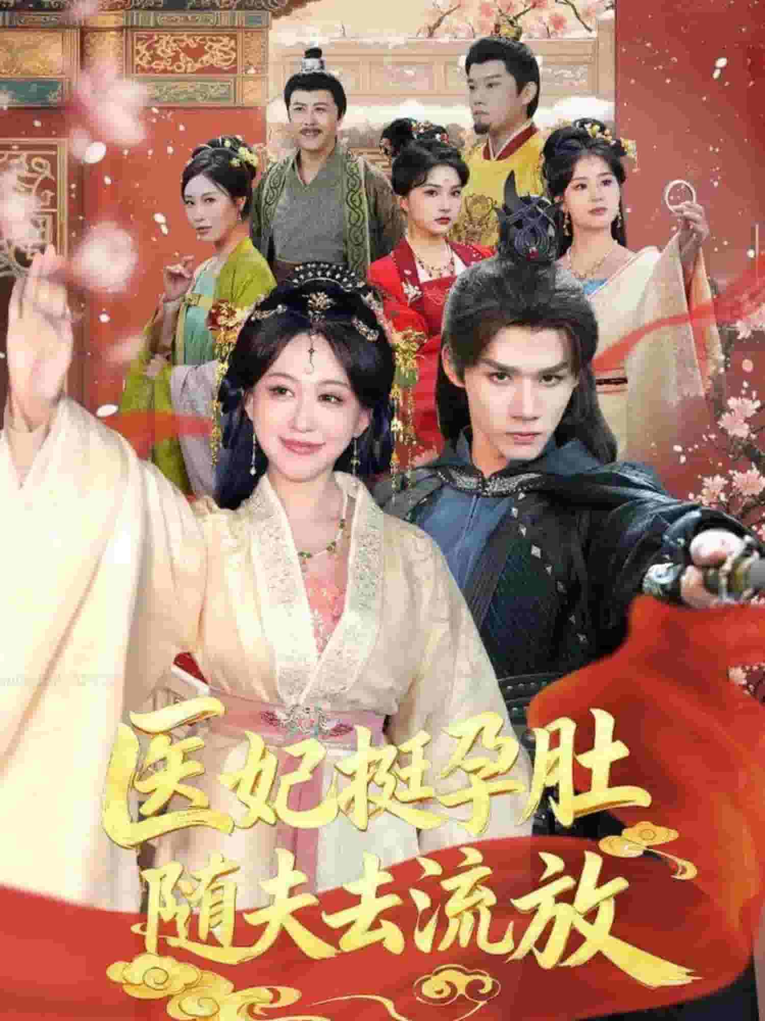 医妃挺孕肚随夫去流放封面图