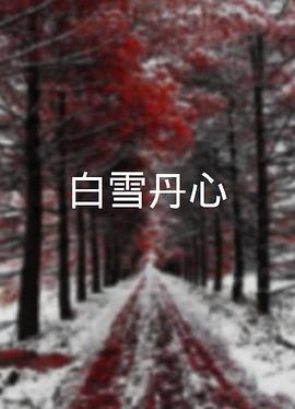 白雪丹心封面图