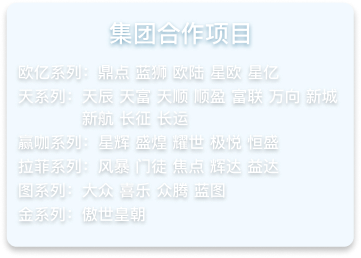 集团合作项目