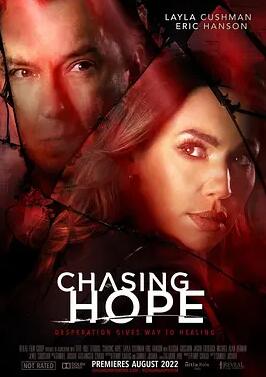 追寻霍普封面图