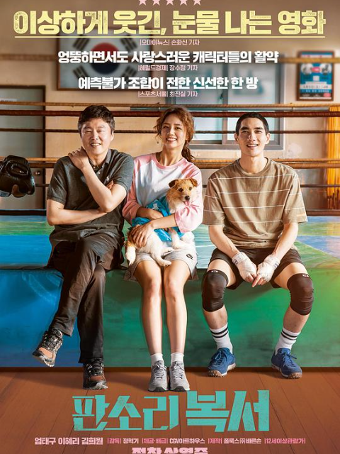 盘索里拳击手封面图