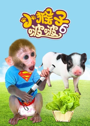 小猴子啵啵第六季封面图