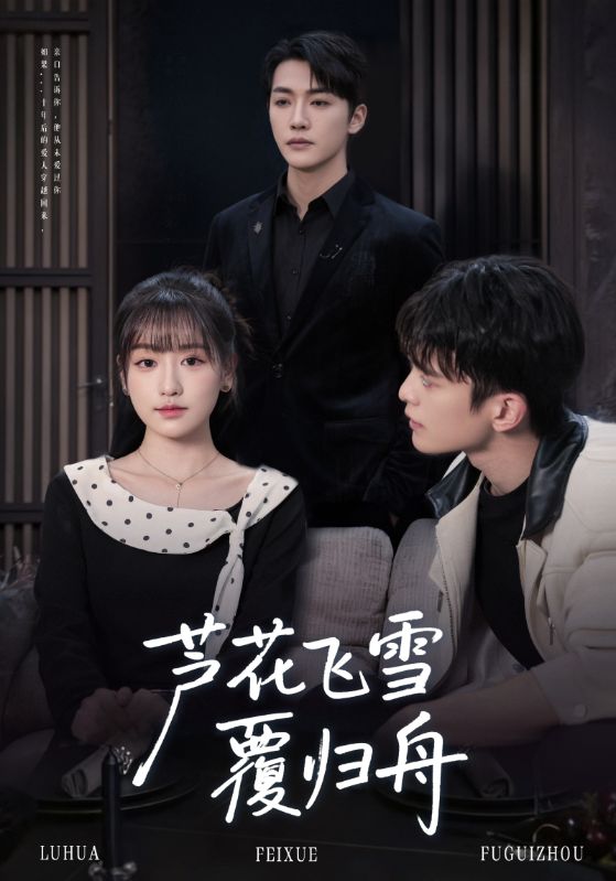 芦花飞雪覆归舟