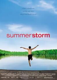 夏日风暴2004封面图