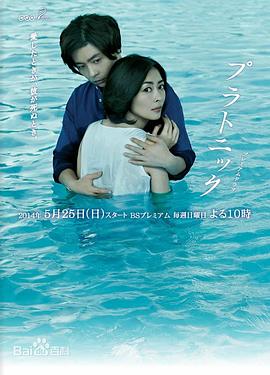 柏拉图式封面图