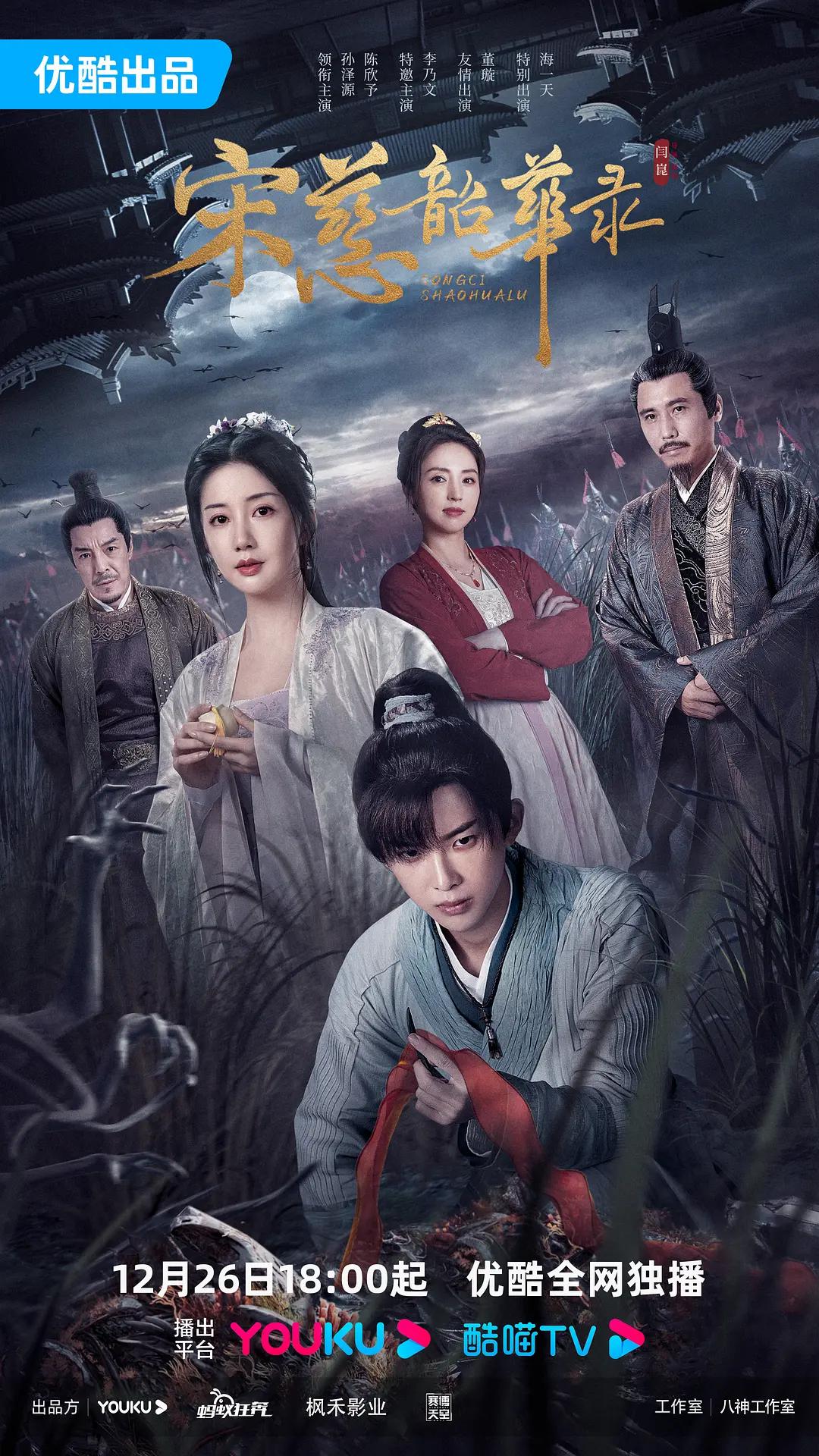 宋慈韶华录封面图