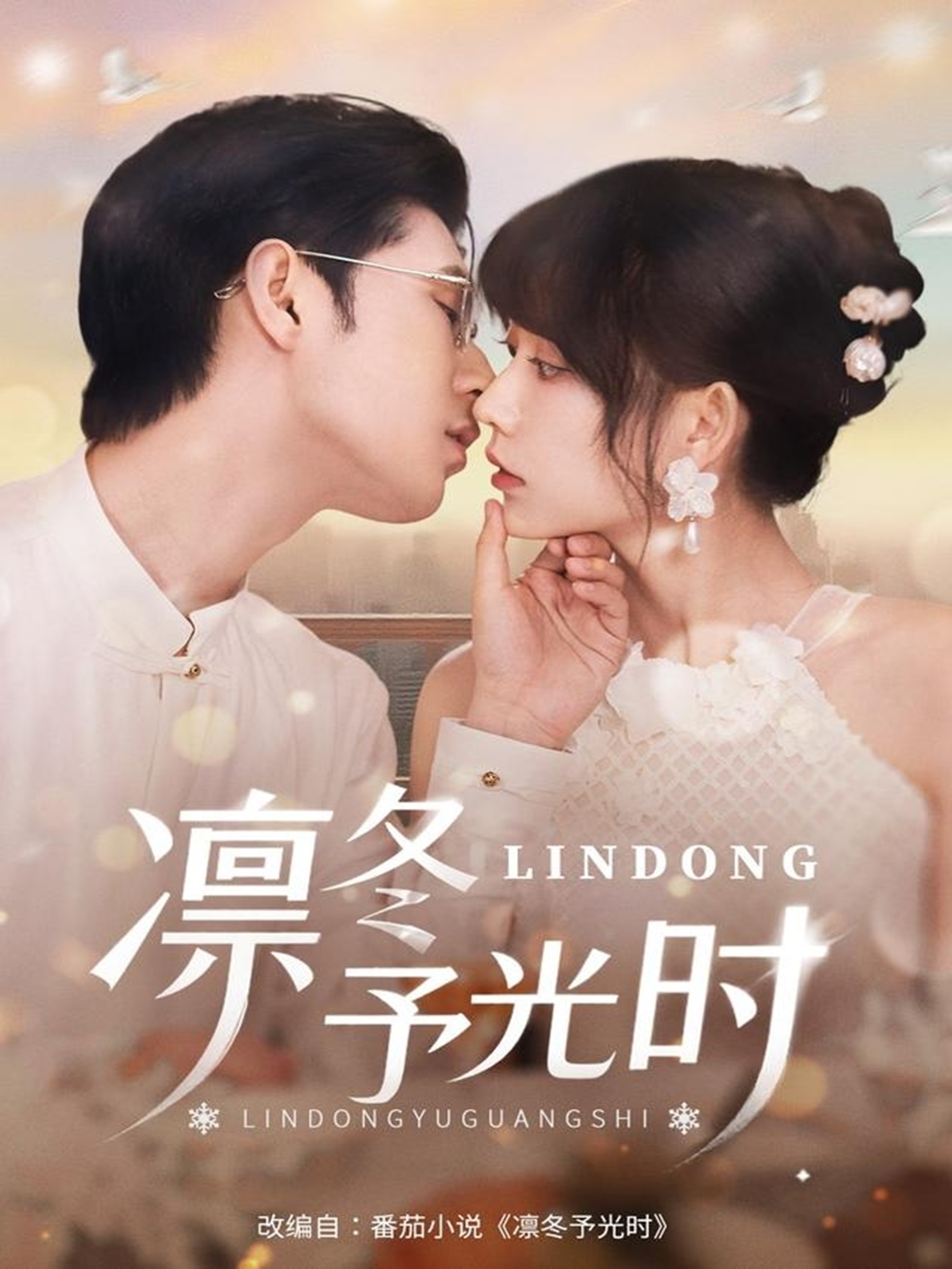 凛冬予光时封面图