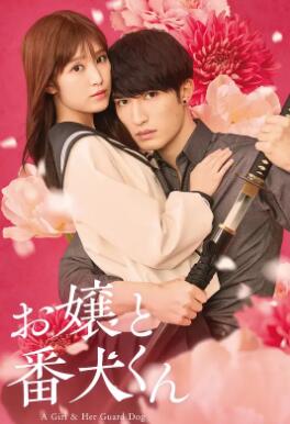 大小姐和看门犬2025封面图