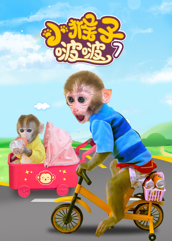 小猴子啵啵第七季封面图