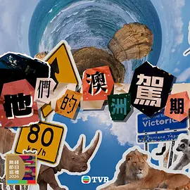 他们的澳洲驾期封面图