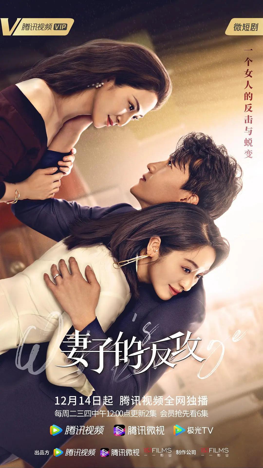 妻子的反攻封面图