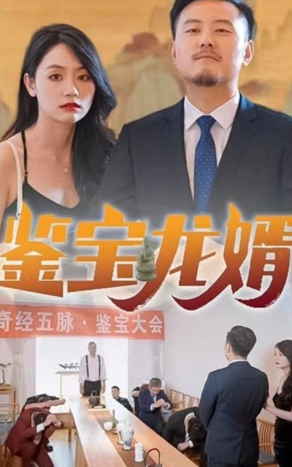 鉴宝龙婿封面图