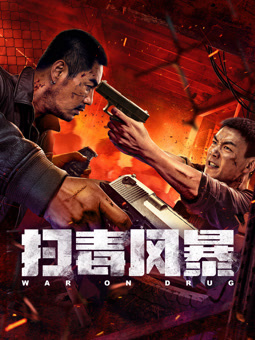 扫毒风暴2025：电影版封面图