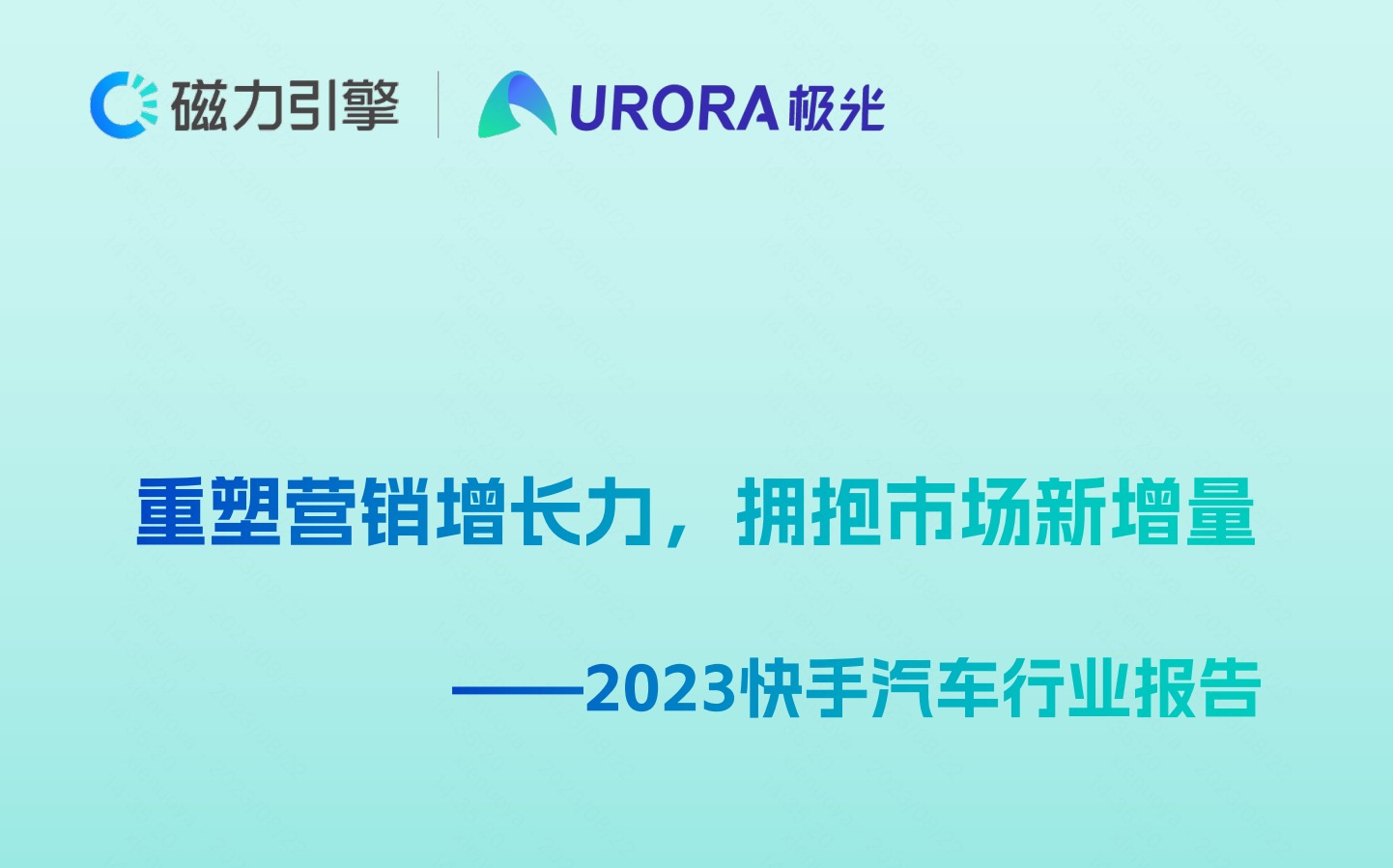 快手汽车行业报告